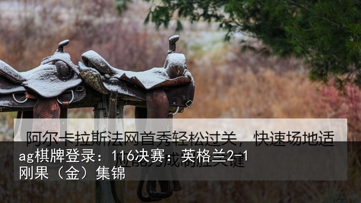 ag棋牌登录:116决赛:英格兰2-1刚果(金)集锦