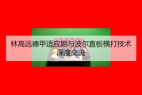 lin-gao-yuan-de-jia-shi-ying-qi-yu-bo-er-zhi-ban-heng-da-ji-shu-shen-du-jiao-liu-2-242.jpg