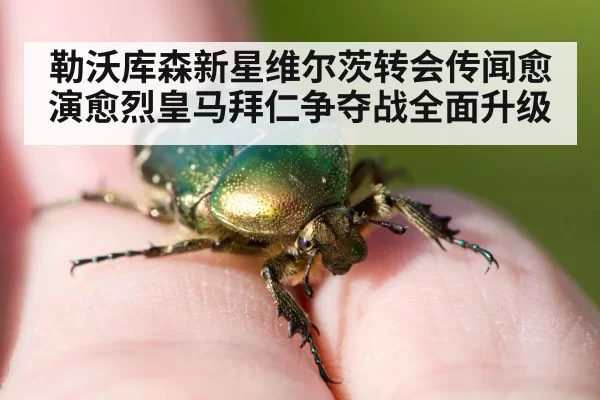 勒沃库森新星维尔茨转会传闻愈演愈烈皇马拜仁争夺战全面升级